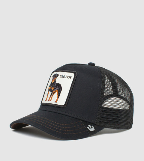 101-0493-BLK-L01