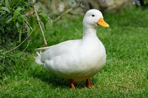 test 123
